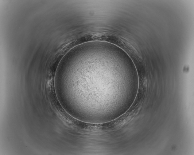 X0000091010914200708091558