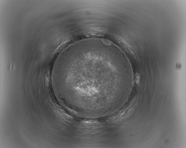 X0000091010915200708091558