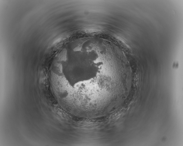 X0000091010917200708091558