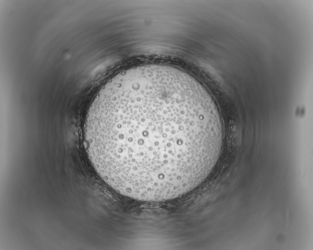X0000091010918200708091558