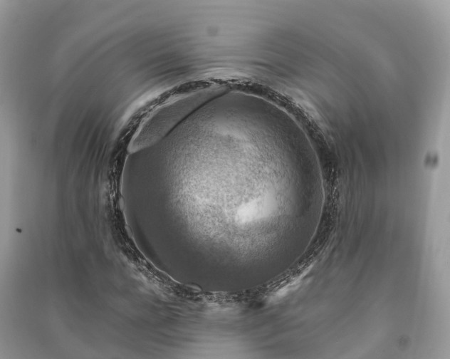 X0000091010920200708091558