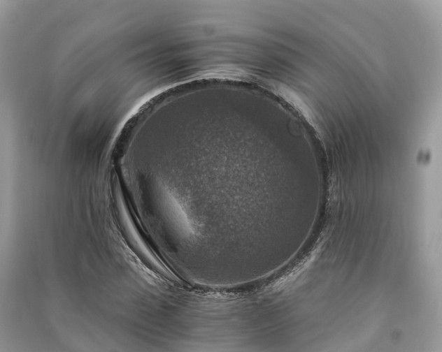 X0000091010923200708091558