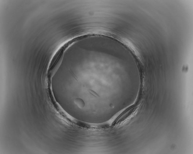 X0000091010924200708091558
