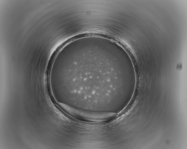 X0000091010928200708091558