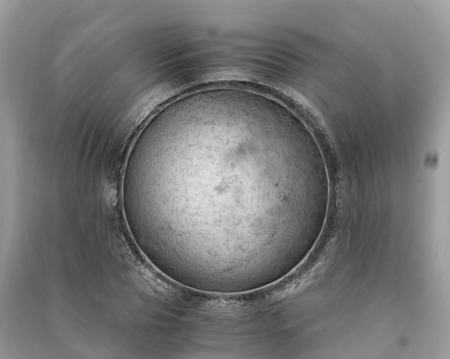 X0000091010929200708091558