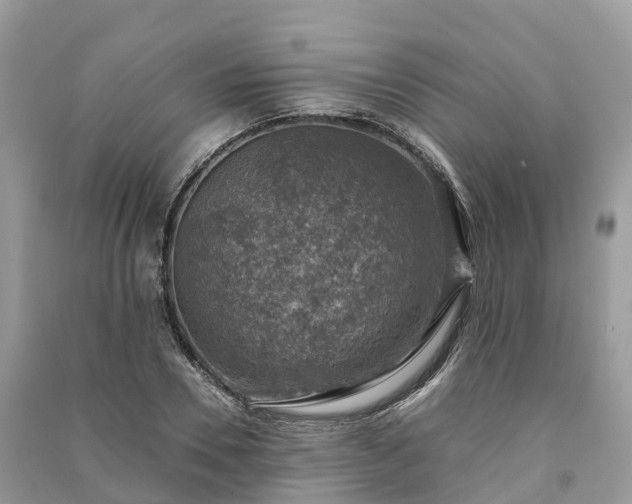 X0000091010930200708091558