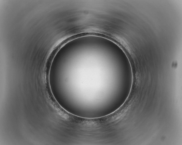 X0000091010931200708091558