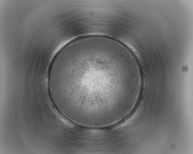 X0000091010933200708091558