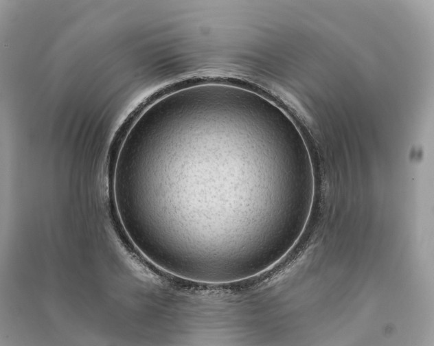 X0000091010934200708091558