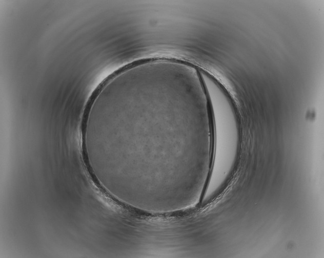 X0000091010936200708091558