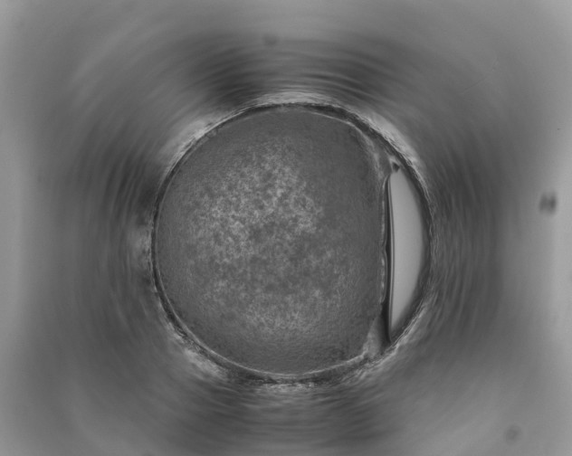 X0000091010937200708091558