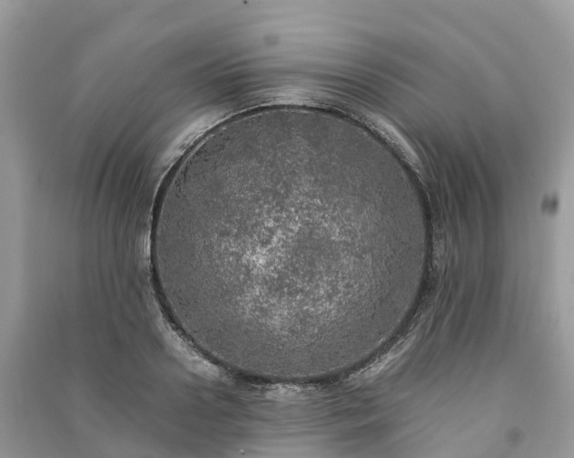 X0000091010938200708091558