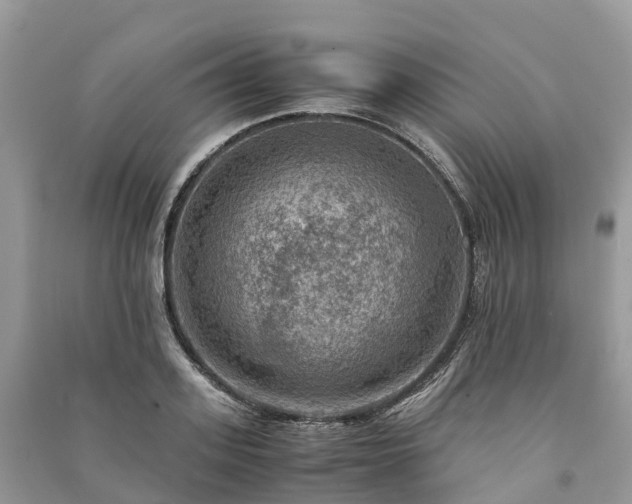 X0000091010939200708091558