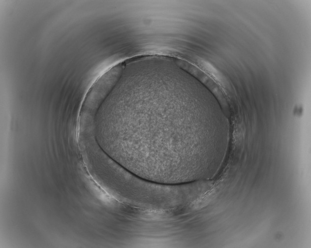 X0000091010940200708091558