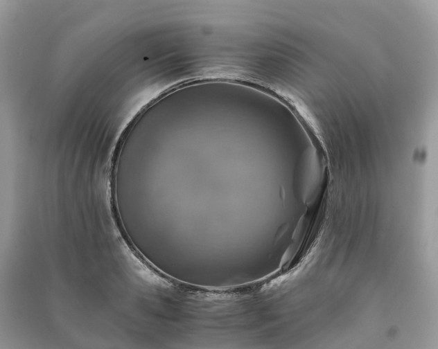 X0000091010941200708091558
