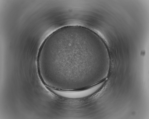 X0000091010943200708091558