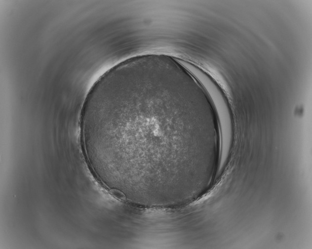 X0000091010944200708091558