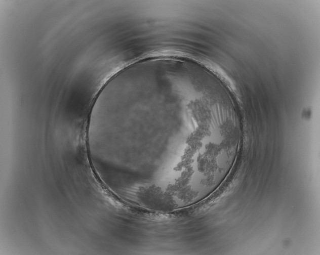 X0000091010945200708091558