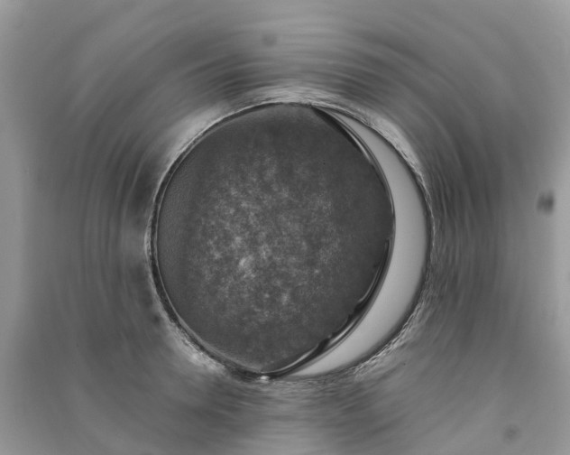 X0000091010946200708091558