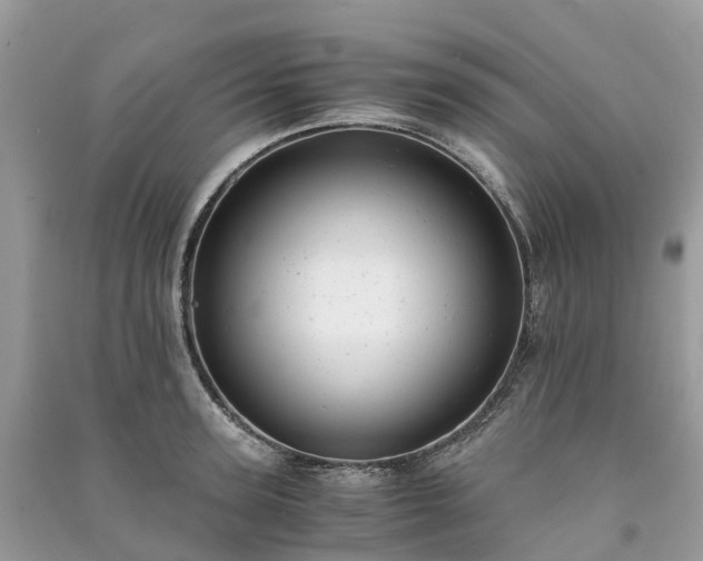 X0000091010947200708091558