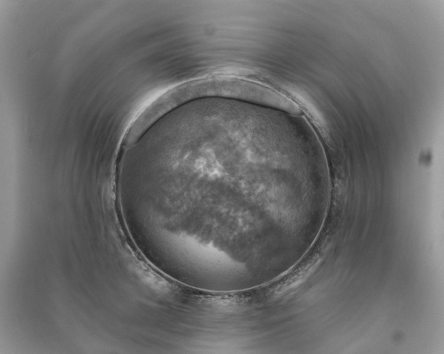 X0000091010948200708091558