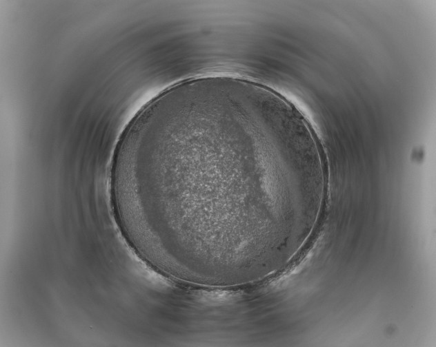 X0000091010949200708091558
