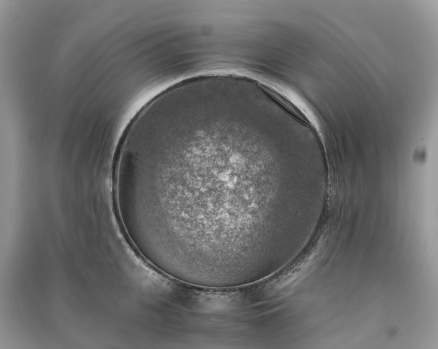 X0000091010951200708091558