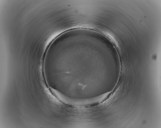 X0000091010952200708091558