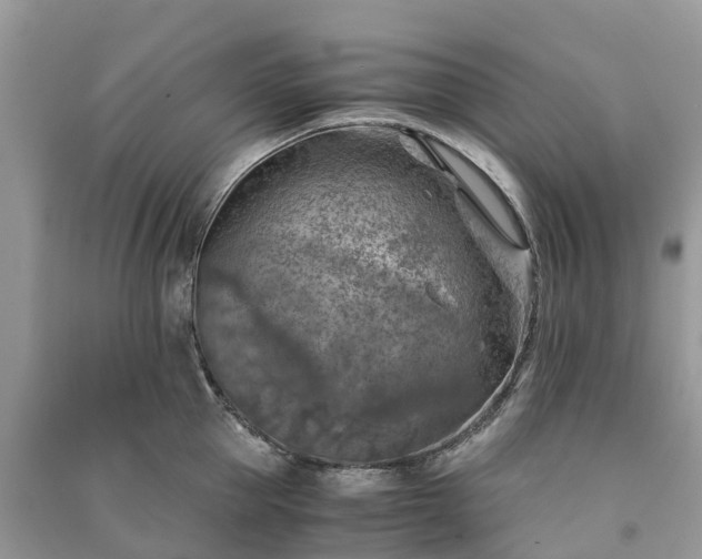 X0000091010953200708091558