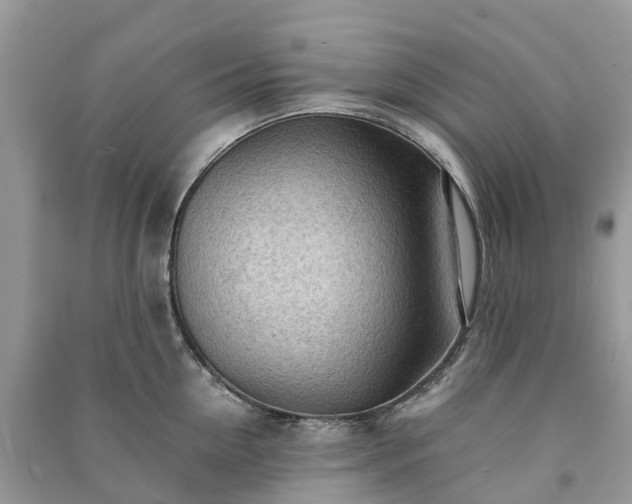 X0000091010954200708091558