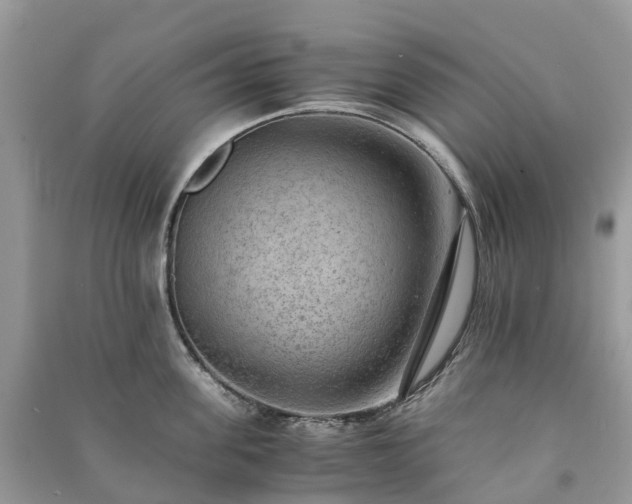 X0000091010955200708091558