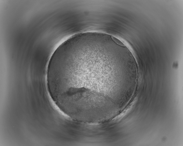 X0000091010957200708091558