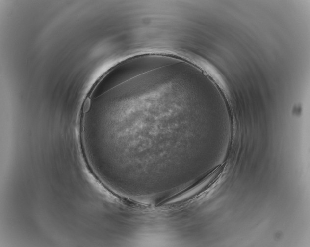 X0000091010958200708091558