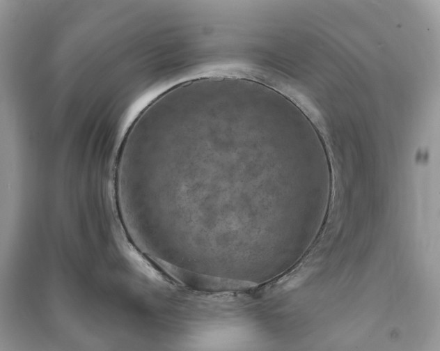 X0000091010960200708091558