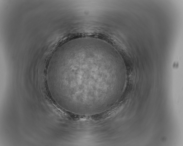 X0000091010961200708091558