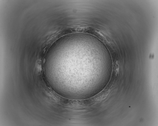 X0000091010962200708091558