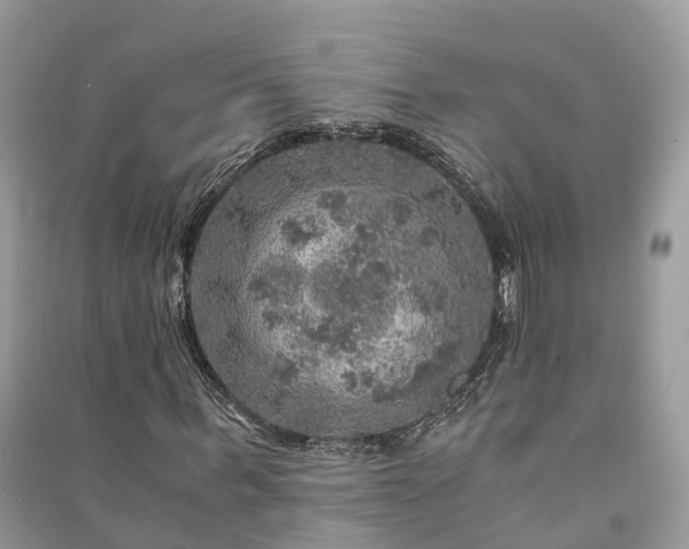 X0000091010963200708091558