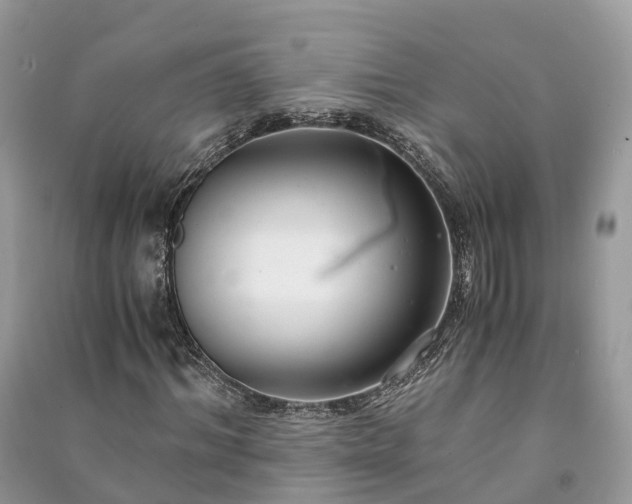 X0000091010964200708091558