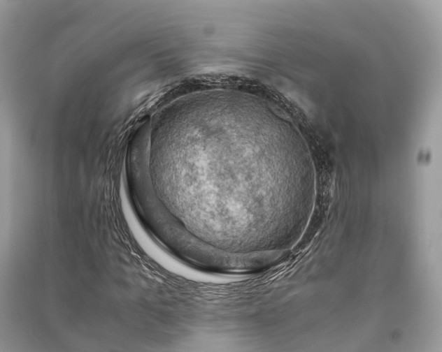 X0000091010965200708091558