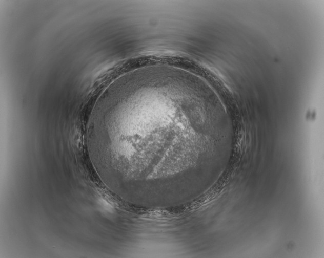X0000091010966200708091558