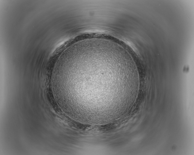 X0000091010967200708091558