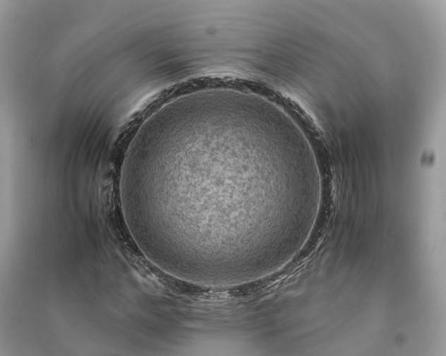 X0000091010968200708091558