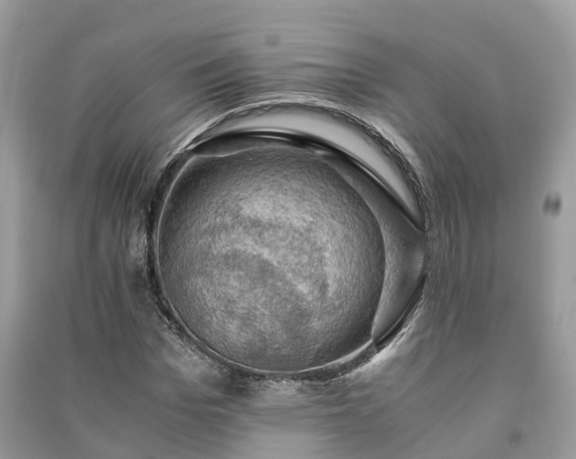 X0000091010969200708091558