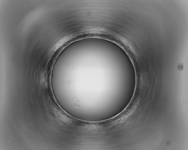 X0000091010970200708091558