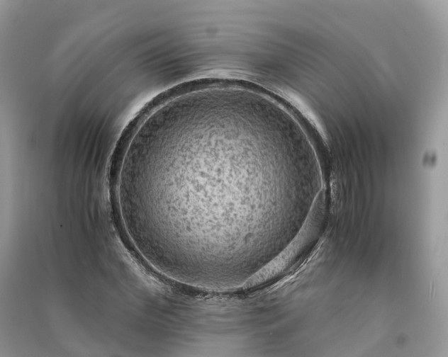 X0000091010972200708091558