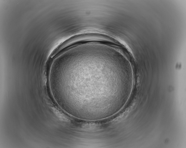 X0000091010973200708091558