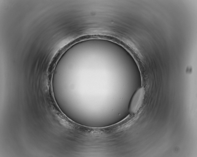 X0000091010974200708091558