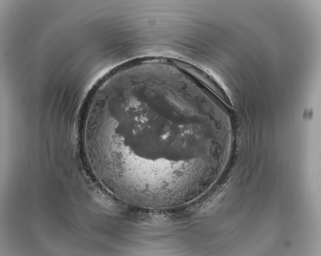 X0000091010975200708091558