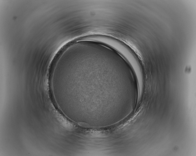 X0000091010976200708091558
