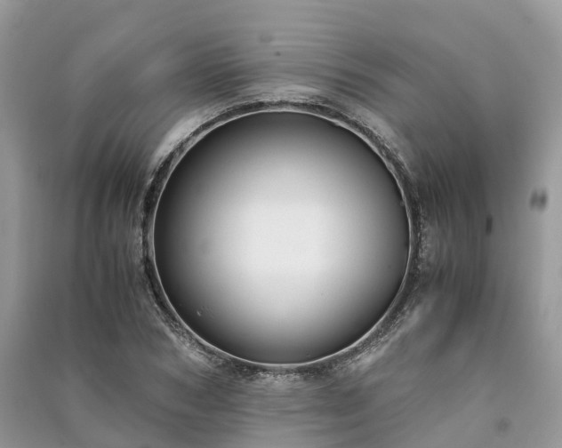 X0000091010978200708091558